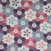 Lynette Anderson Fairy Garden Hexagon Multi  82000 110