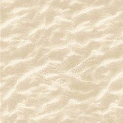 Timeless Treasures Beach CD8395