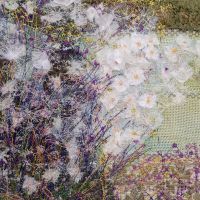 Workshop Sat April 11th 2026 Daisy Border with Fran 